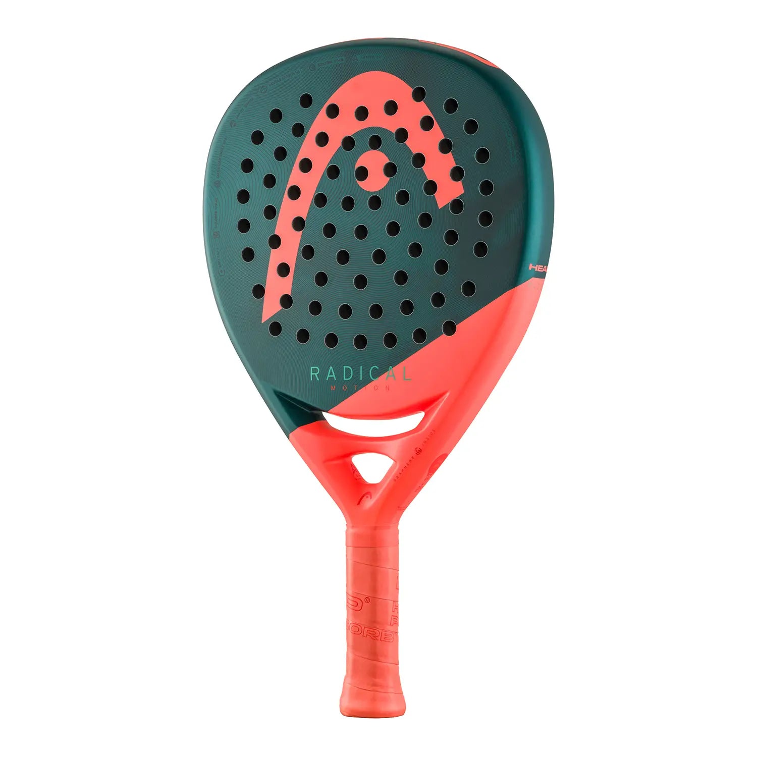 Pala Head Radical Motion 2026